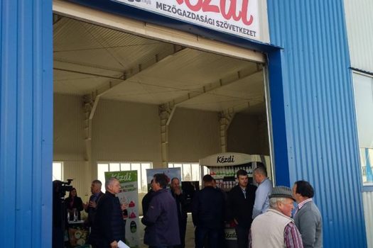 Kézdi tej